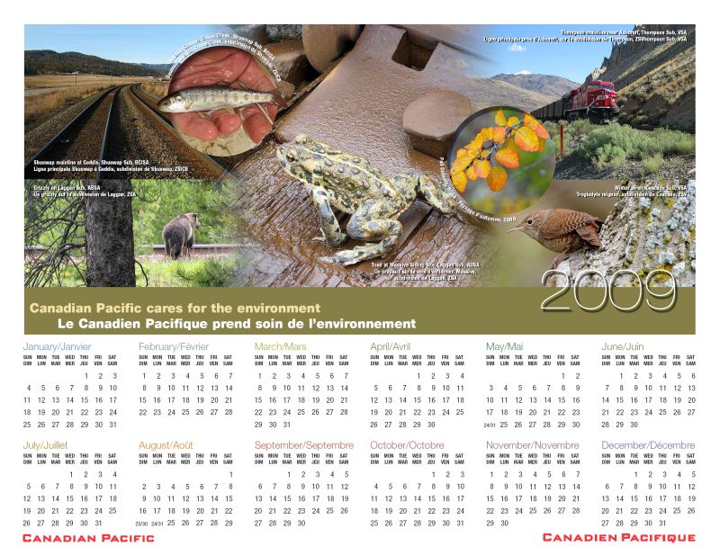 2009 CP Calendar