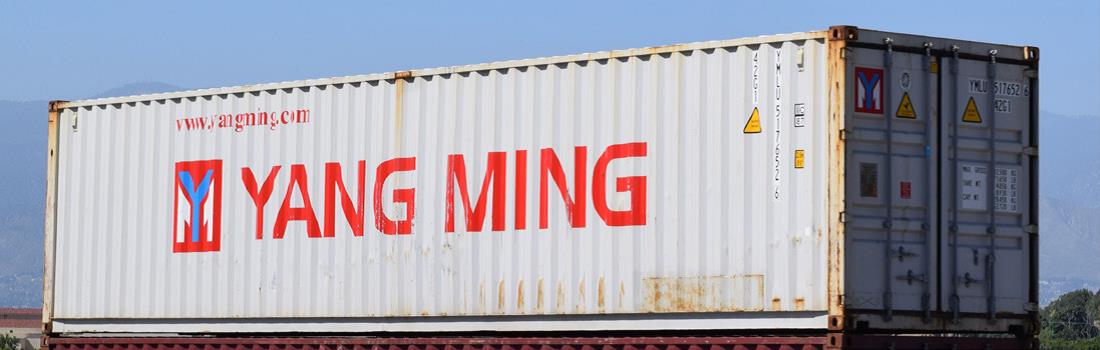 RTR 40 ft Low-Cube Container - Yang Ming (YMLU)