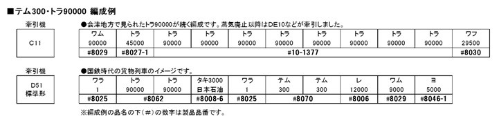 temu300_v_1n