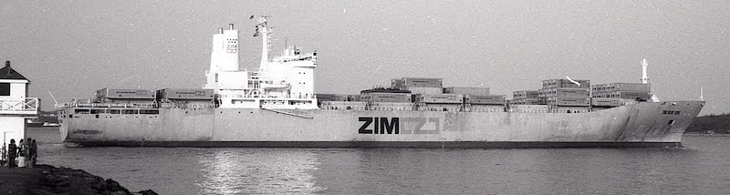 Original Zim Ships 