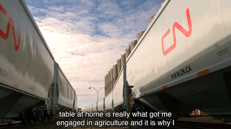 View between rows of cn rail grain cars