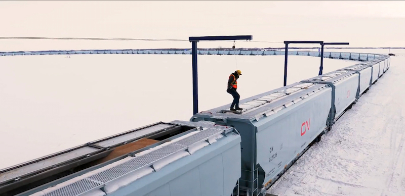 Worker standing on CN grain car filling with grain