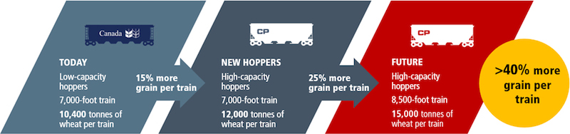 Grain Future Infographic