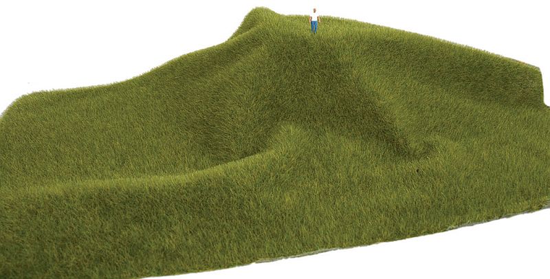 Mossy Grass